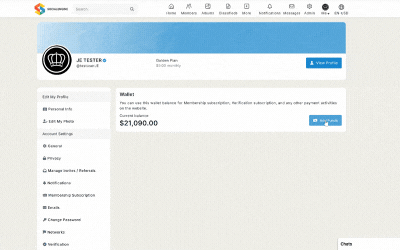 How does the Authorize.net payment gateway plugin work?